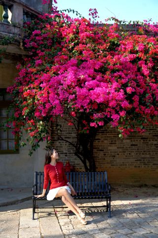 賑やかな中国の春節｜やっぱりここに来るしかない！！