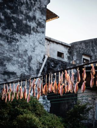 บันทึกการท่องเที่ยวฝอซาน: สำรวจความอบอุ่นของเมืองท่ามกลางชีวิตริมถนนอันน่าหลงใหลของหลิงหนานและเปลวไฟแห่งเครื่องปั้นดินเผาอายุนับพันปี