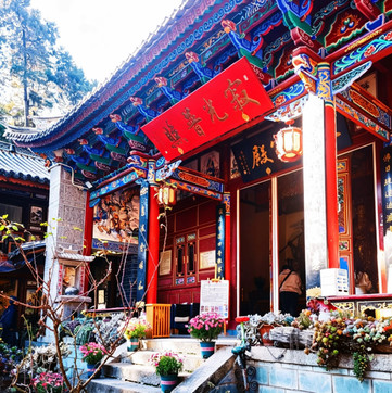 寂照庵(多肉禅院) 参考图 5