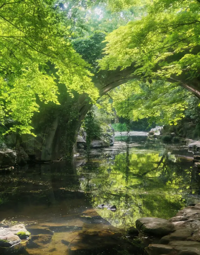 One-Day Tour of West Lake in Hangzhou Without Backtracking｜Just Copy This!