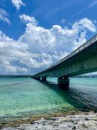 Explore Vibrant Okinawa City: Nature, Food & Scenic Ponds ☀️🌸🍣