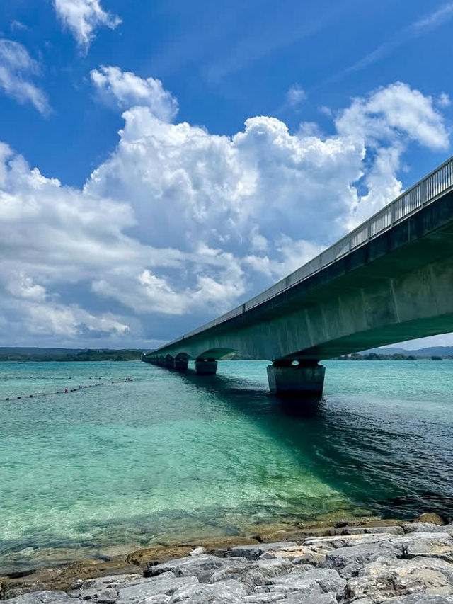 Explore Vibrant Okinawa City: Nature, Food & Scenic Ponds ☀️🌸🍣