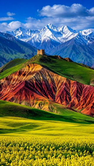 Qilian | The Little Switzerland of the East! A Snowy Mountain Grassland Secret with an Average Temperature of 18°C