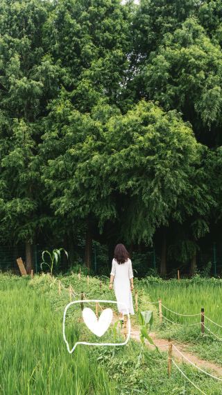 Kunming self-driving tour | Rice field coffee + Fengbang hotel, a healing weekend check-in guide