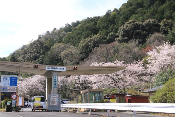 京都の自然に抱かれた壮麗な鞍馬石 | Trip.com 京都