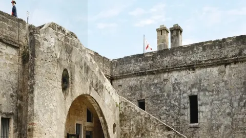 A paradise for symmetry lovers, Florida’s oldest shell — traveler post in St. Augustine