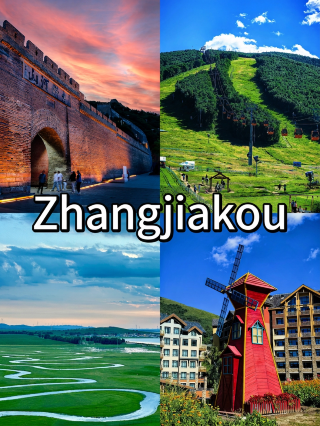 Zhangjiakou 3-day tour | 20℃ summer escape at Bashang