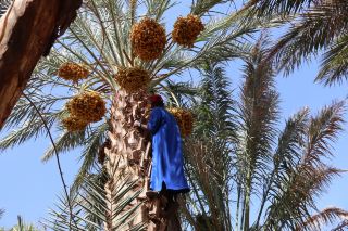 An Unforgettable Journey Through Southern Morocco and High Atlas