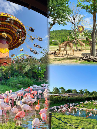 Guangdong National Day family travel | 4 family-friendly hotspots for a stress-free trip