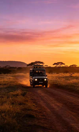 Yala National Park | A morning safari adventure