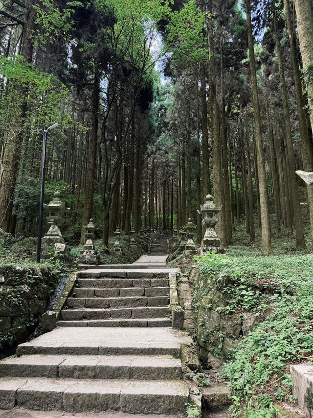 人均4k玩轉日本6日遊