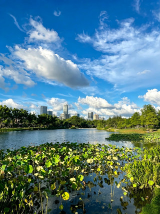 The ultimate late-summer healing spot in Shanghai is hidden in this lake paradise at the Botanical Garden