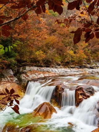 The ultimate autumn destination in Shaanxi: Huangbaiyuan in October–November! A breathtaking, painting-like secret spot in the Qinling Mountains