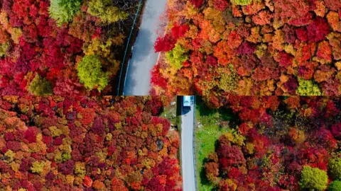 สาวๆ! ฉันเจอฤดูใบไม้ร่วงที่สวยที่สุดในจี๋หลินแล้วค่ะ — traveler post in ไป๋ซาน