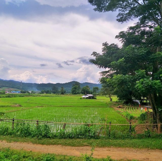 เมืองคอง ชุมชนเล็กๆ ที่มอบความสุขแก่ผู้มาเยือน