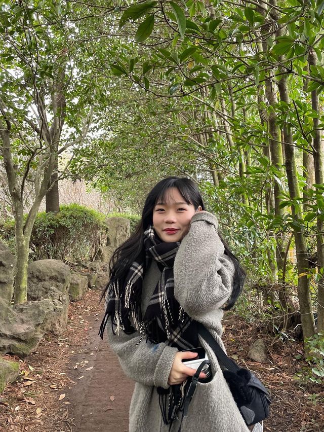 동백꽃 정원을 만날 수 있는 카멜리아힐