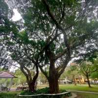 市區裡也有一片寧靜-民生社區公園