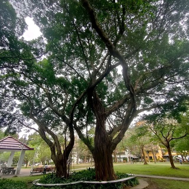 市區裡也有一片寧靜-民生社區公園