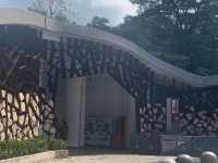 一年四季都有唔同花睇🌺🌸🪷深圳灣公園