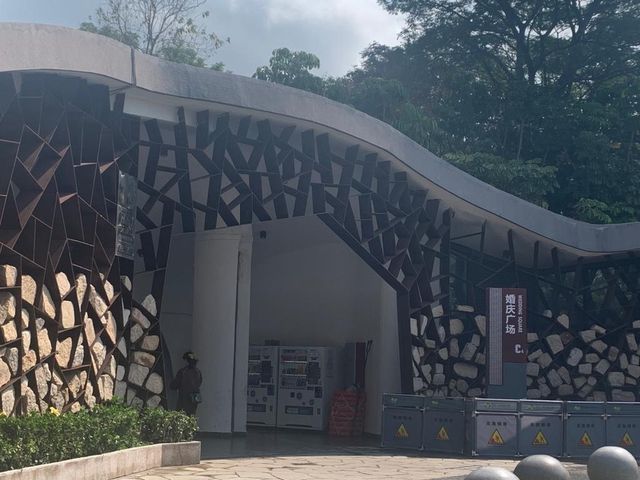 一年四季都有唔同花睇🌺🌸🪷深圳灣公園