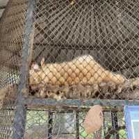 BONANZA EXOTIC ZOO มาดูกันว่าเด็ก ๆ จอยแค่ไหน ✨
