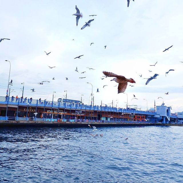⛴🕊 ล่องเรือชมช่องแคบบอสฟอรัส⚓️