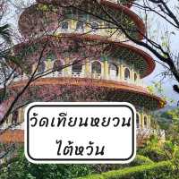 วัดเทียนหยวน​ สถานที่ชมซากุระไต้หวัน