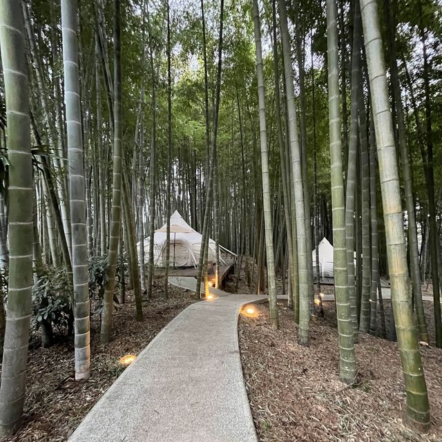 竹林の中にあるグランピング