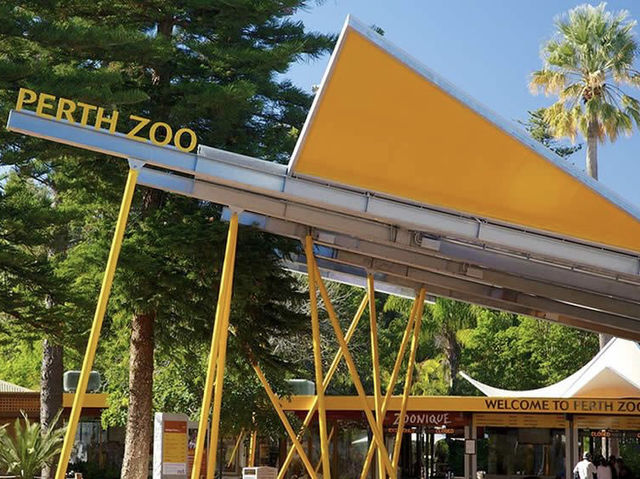 西澳珀斯動物園（Perth Zoo）🐨🐒🐯🦁🐷🐮🦒🦨🦜