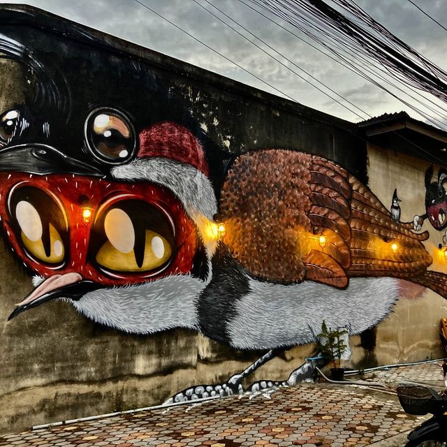 Bird City Street Art Yala