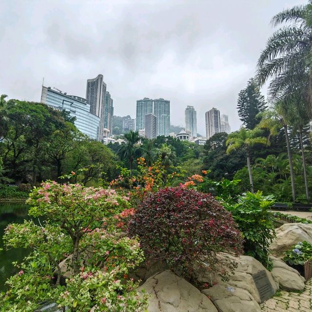 Beautiful Hong Kong Park!