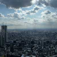 FREE observation deck at Metro Gov Building