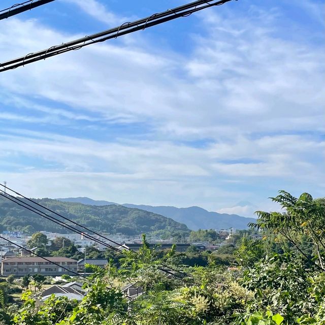 沿岸沿いの絶景　伊東半島ジオパーク
