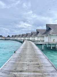 💕馬爾代夫蜜月旅行🏝️🥂享受陽光與海灘