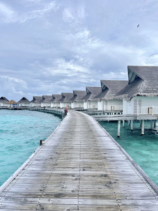 💕馬爾代夫蜜月旅行🏝️🥂享受陽光與海灘
