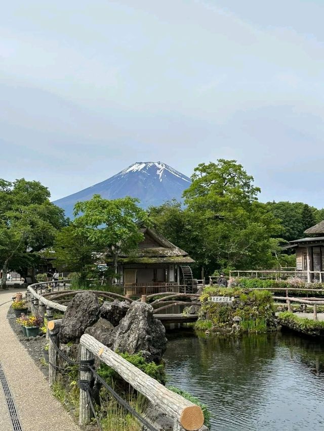 Oshino Hakkai หมู่บ้านน้ำใสแห่งภูเขา​ไฟฟูจิ 
