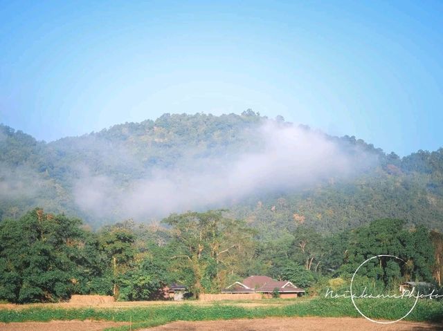 บ้านหลองข้าวสะเมิง | เชียงใหม่