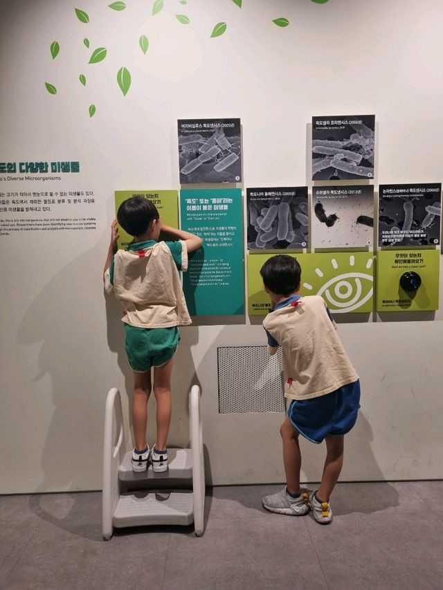 아이와 함께 독도 탐구