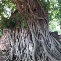 Ayutthaya,Thailand 🇹🇭