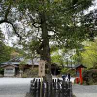 鹿児島「霧島神宮」神話と霊験あらたかな由緒ある国宝に指定された神社