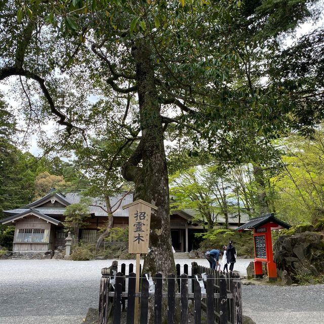 鹿児島「霧島神宮」神話と霊験あらたかな由緒ある国宝に指定された神社