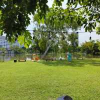 สวนสาธารณะหลังฝนตก