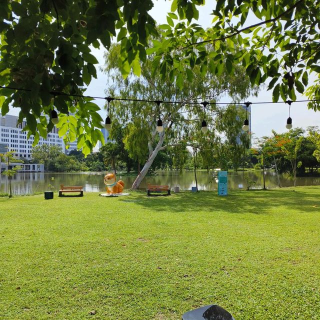 สวนสาธารณะหลังฝนตก