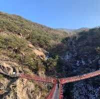 아찔한 높이의 거창 Y자 출렁다리🌉 