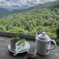 ไร่ชาลุงเดช🍵