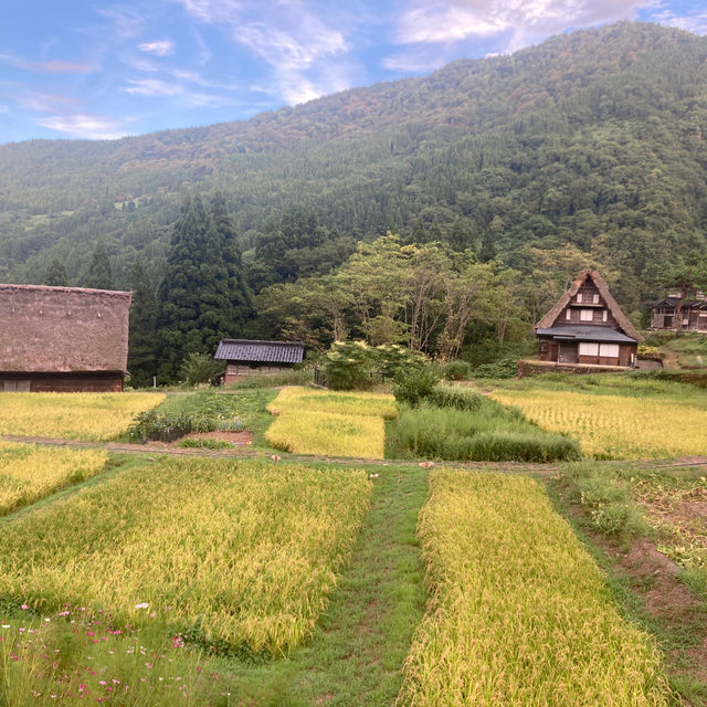 越前五箇山　【相倉合掌造り集落】