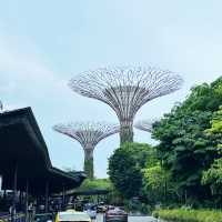 新加坡濱海灣花園壯觀Super Tree