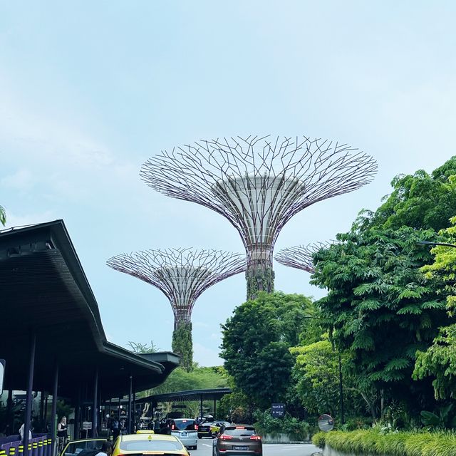 新加坡濱海灣花園壯觀Super Tree