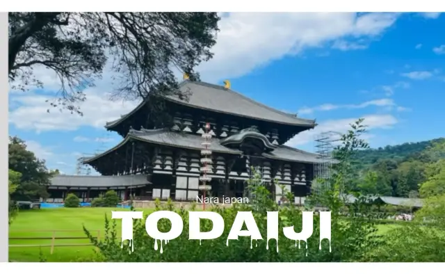 Embrace the grandeur of Todaiji Temple ‘NARA’
