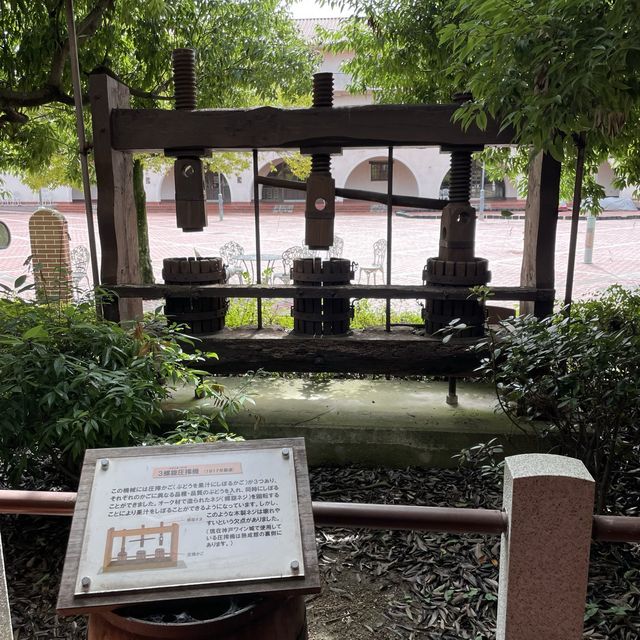 【兵庫県】ワイン好きなら一度は行きたい神戸ワイナリー
